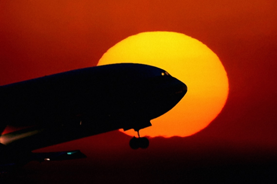 International Campaigns